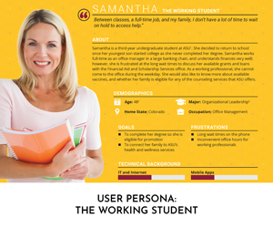 User Persona: The The Working Student