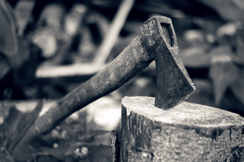 An old axe in a tree stump